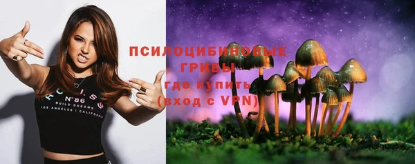 мдпв Зерноград