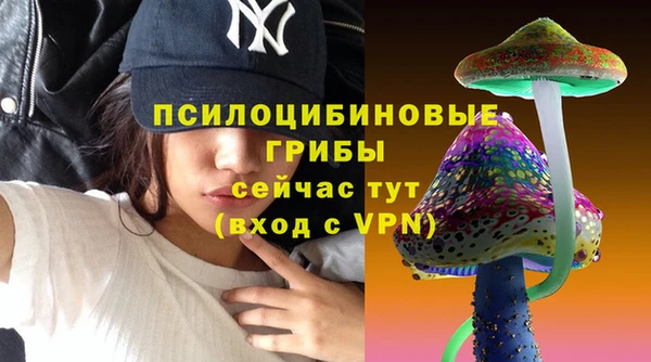мдпв Зерноград