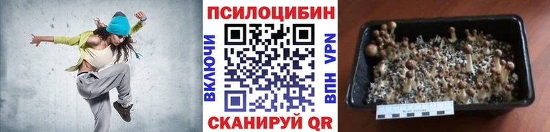 Галлюциногенные грибы GOLDEN TEACHER  Купить где  Задонск 